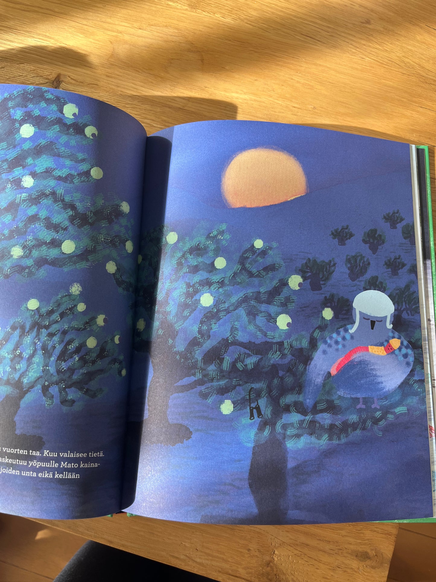 フィンランドの絵本 MATO JA METSÄ